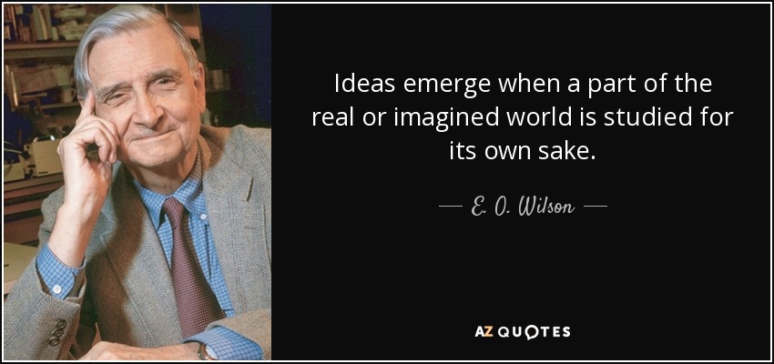 Ideas emerge when a part of the real or imagined world is studied for its own sake. - E. O. Wilson