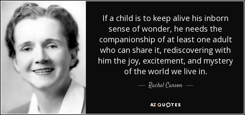 If a child is to keep alive his inborn sense of wonder, he needs the companionship of at least one adult who can share it, rediscovering with him the joy, excitement, and mystery of the world we live in. - Rachel Carson