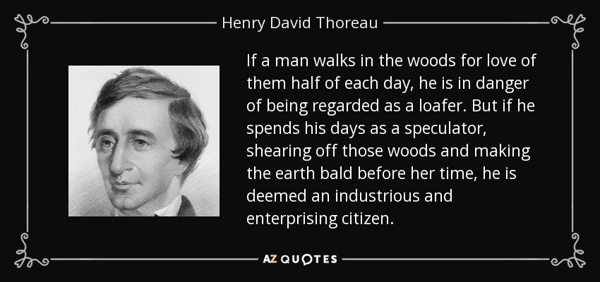 If a man walks in the woods for love of them half of each day, he is in danger of being regarded as a loafer. But if he spends his days as a speculator, shearing off those woods and making the earth bald before her time, he is deemed an industrious and enterprising citizen. - Henry David Thoreau