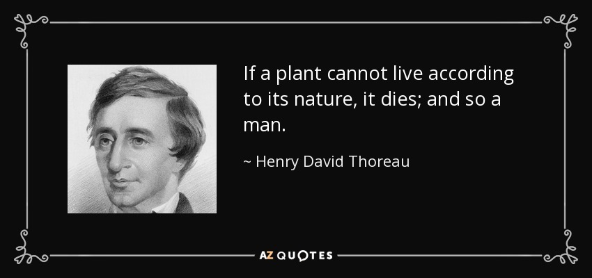 If a plant cannot live according to its nature, it dies; and so a man. - Henry David Thoreau