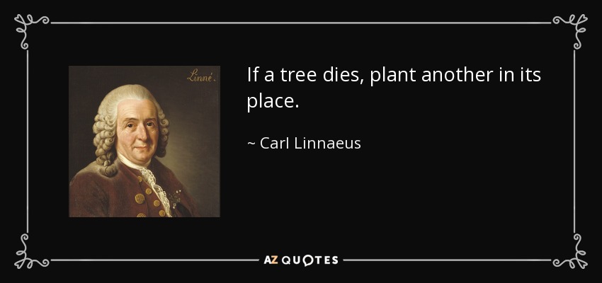 If a tree dies, plant another in its place. - Carl Linnaeus