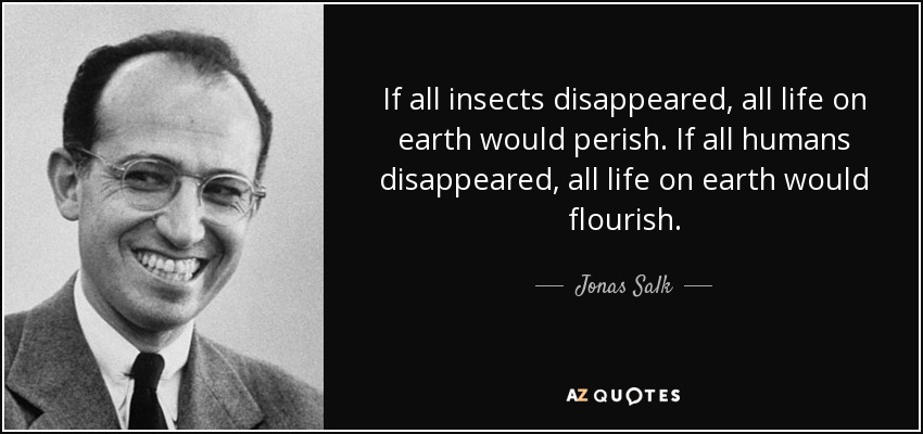 If all insects disappeared, all life on earth would perish. If all humans disappeared, all life on earth would flourish. - Jonas Salk