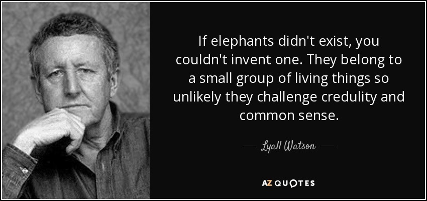 If elephants didn't exist, you couldn't invent one. They belong to a small group of living things so unlikely they challenge credulity and common sense. - Lyall Watson