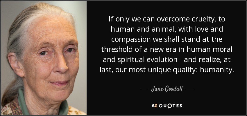 If only we can overcome cruelty, to human and animal, with love and compassion we shall stand at the threshold of a new era in human moral and spiritual evolution - and realize, at last, our most unique quality: humanity. - Jane Goodall
