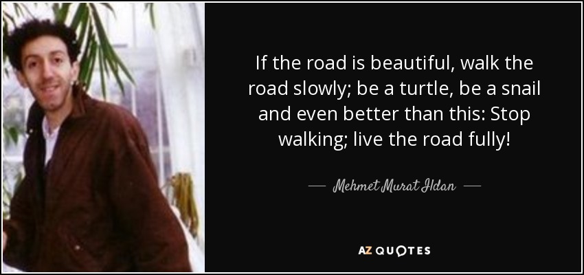 If the road is beautiful, walk the road slowly; be a turtle, be a snail and even better than this: Stop walking; live the road fully! - Mehmet Murat Ildan
