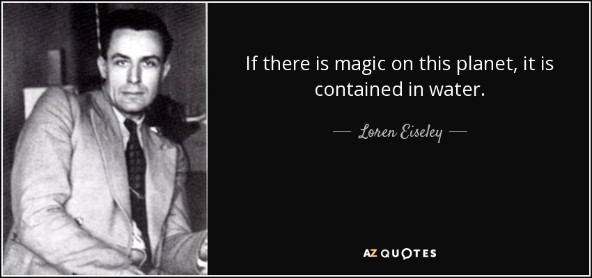If there is magic on this planet, it is contained in water. - Loren Eiseley