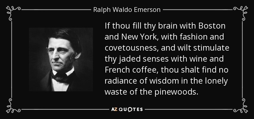 If thou fill thy brain with Boston and New York, with fashion and covetousness, and wilt stimulate thy jaded senses with wine and French coffee, thou shalt find no radiance of wisdom in the lonely waste of the pinewoods. - Ralph Waldo Emerson