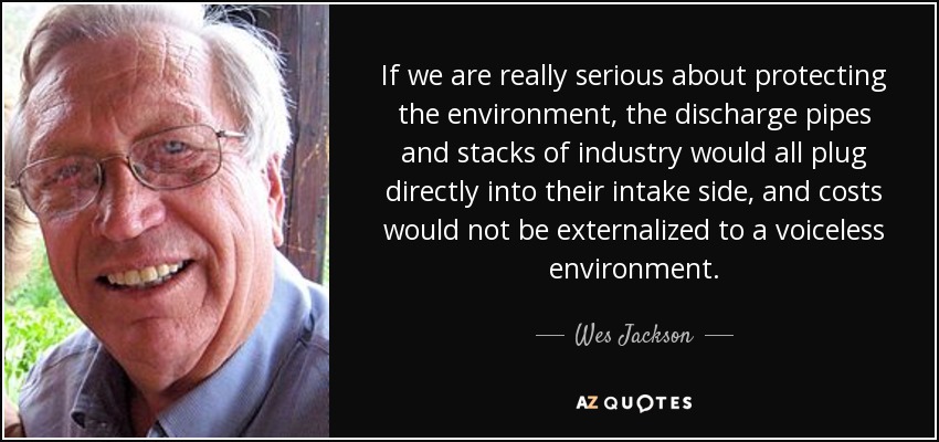 If we are really serious about protecting the environment, the discharge pipes and stacks of industry would all plug directly into their intake side, and costs would not be externalized to a voiceless environment. - Wes Jackson