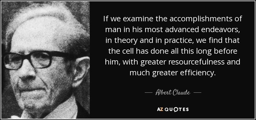 If we examine the accomplishments of man in his most advanced endeavors, in theory and in practice, we find that the cell has done all this long before him, with greater resourcefulness and much greater efficiency. - Albert Claude