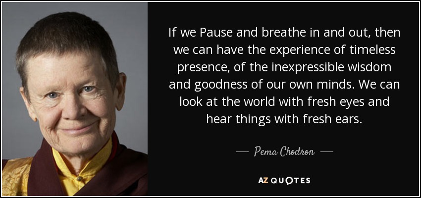 If we Pause and breathe in and out, then we can have the experience of timeless presence, of the inexpressible wisdom and goodness of our own minds. We can look at the world with fresh eyes and hear things with fresh ears. - Pema Chodron