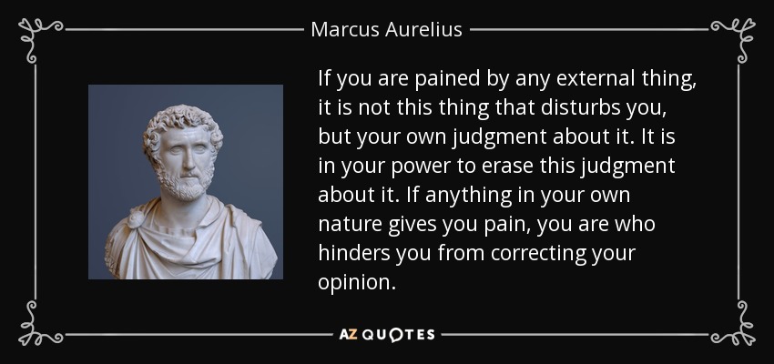 If you are pained by any external thing, it is not this thing that disturbs you, but your own judgment about it. It is in your power to erase this judgment about it. If anything in your own nature gives you pain, you are who hinders you from correcting your opinion. - Marcus Aurelius