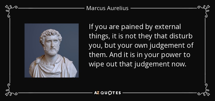 If you are pained by external things, it is not they that disturb you, but your own judgement of them. And it is in your power to wipe out that judgement now. - Marcus Aurelius