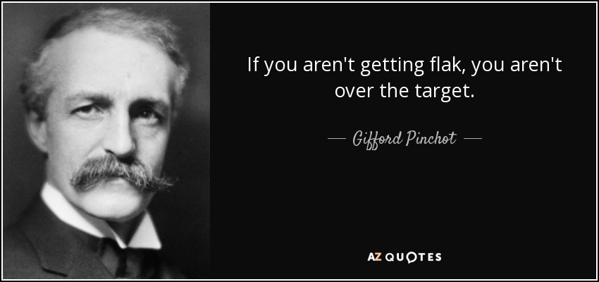 If you aren't getting flak, you aren't over the target. - Gifford Pinchot