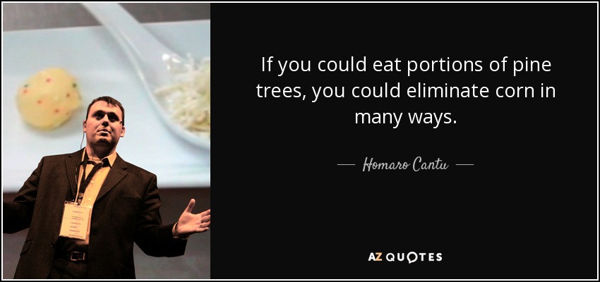 If you could eat portions of pine trees, you could eliminate corn in many ways. - Homaro Cantu
