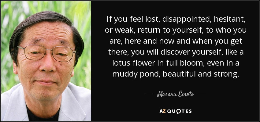 If you feel lost, disappointed, hesitant, or weak, return to yourself, to who you are, here and now and when you get there, you will discover yourself, like a lotus flower in full bloom, even in a muddy pond, beautiful and strong. - Masaru Emoto