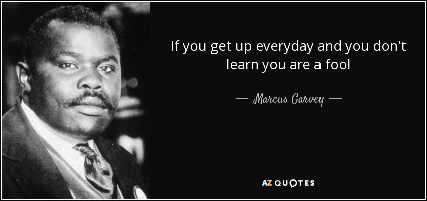 If you get up everyday and you don't learn you are a fool - Marcus Garvey