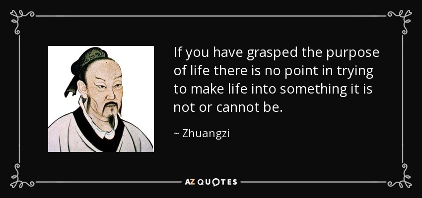 If you have grasped the purpose of life there is no point in trying to make life into something it is not or cannot be. - Zhuangzi