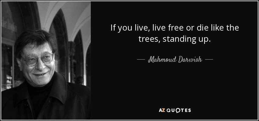 If you live, live free or die like the trees, standing up. - Mahmoud Darwish