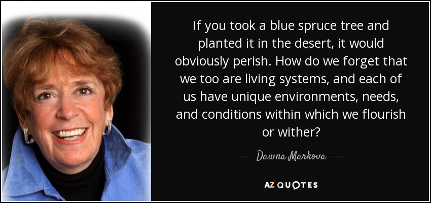 If you took a blue spruce tree and planted it in the desert, it would obviously perish. How do we forget that we too are living systems, and each of us have unique environments, needs, and conditions within which we flourish or wither? - Dawna Markova