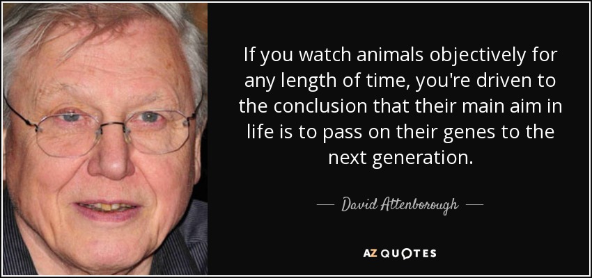 If you watch animals objectively for any length of time, you're driven to the conclusion that their main aim in life is to pass on their genes to the next generation. - David Attenborough