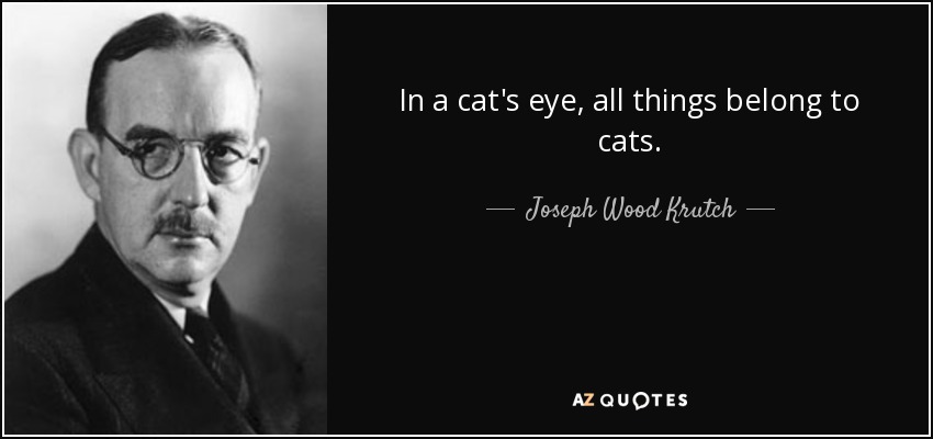 In a cat's eye, all things belong to cats. - Joseph Wood Krutch