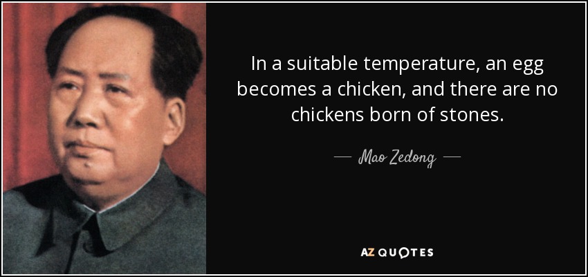 In a suitable temperature, an egg becomes a chicken, and there are no chickens born of stones. - Mao Zedong