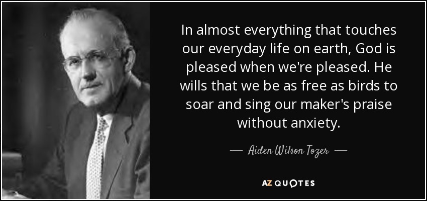 In almost everything that touches our everyday life on earth, God is pleased when we're pleased. He wills that we be as free as birds to soar and sing our maker's praise without anxiety. - Aiden Wilson Tozer