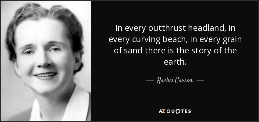 In every outthrust headland, in every curving beach, in every grain of sand there is the story of the earth. - Rachel Carson