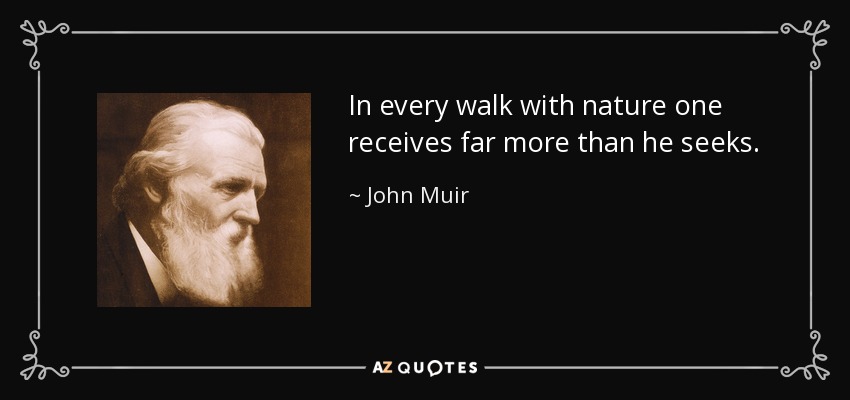 In every walk with nature one receives far more than he seeks. - John Muir