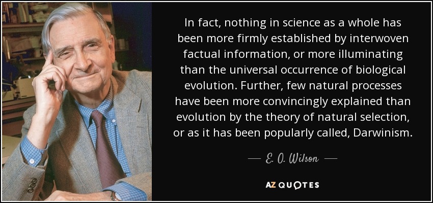 In fact, nothing in science as a whole has been more firmly established by interwoven factual information, or more illuminating than the universal occurrence of biological evolution. Further, few natural processes have been more convincingly explained than evolution by the theory of natural selection, or as it has been popularly called, Darwinism. - E. O. Wilson