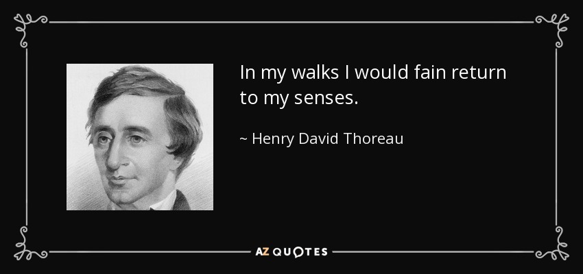 In my walks I would fain return to my senses. - Henry David Thoreau