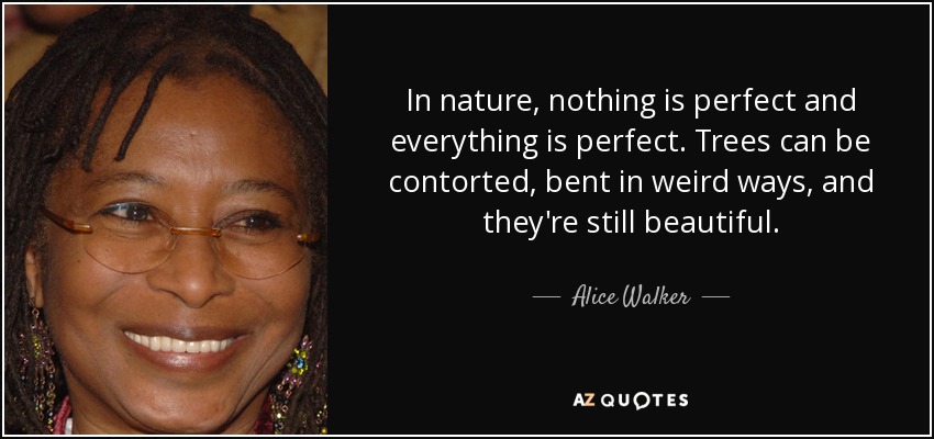 In nature, nothing is perfect and everything is perfect. Trees can be contorted, bent in weird ways, and they're still beautiful. - Alice Walker