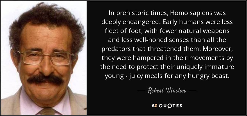 In prehistoric times, Homo sapiens was deeply endangered. Early humans were less fleet of foot, with fewer natural weapons and less well-honed senses than all the predators that threatened them. Moreover, they were hampered in their movements by the need to protect their uniquely immature young - juicy meals for any hungry beast. - Robert Winston