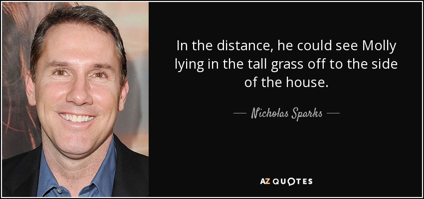 In the distance, he could see Molly lying in the tall grass off to the side of the house. - Nicholas Sparks