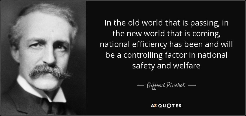 In the old world that is passing, in the new world that is coming, national efficiency has been and will be a controlling factor in national safety and welfare - Gifford Pinchot