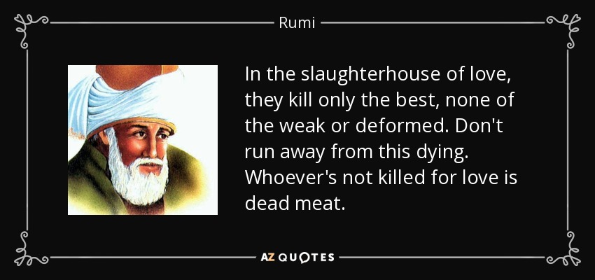 In the slaughterhouse of love, they kill only the best, none of the weak or deformed. Don't run away from this dying. Whoever's not killed for love is dead meat. - Rumi