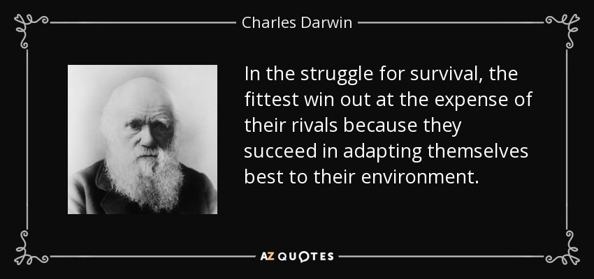 In the struggle for survival, the fittest win out at the expense of their rivals because they succeed in adapting themselves best to their environment. - Charles Darwin