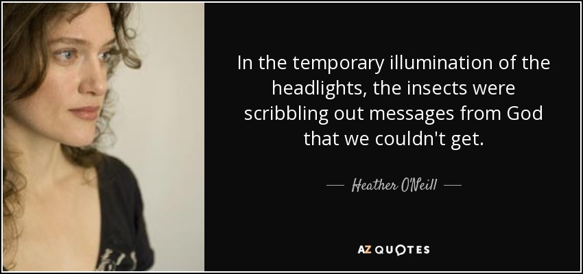 In the temporary illumination of the headlights, the insects were scribbling out messages from God that we couldn't get. - Heather O'Neill