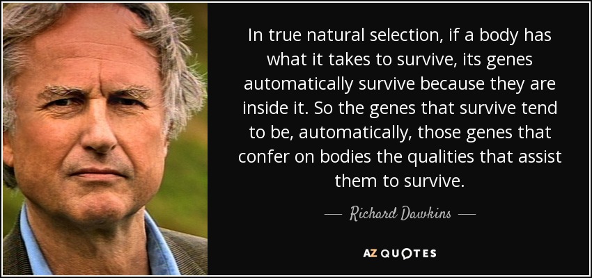 In true natural selection, if a body has what it takes to survive, its genes automatically survive because they are inside it. So the genes that survive tend to be, automatically, those genes that confer on bodies the qualities that assist them to survive. - Richard Dawkins