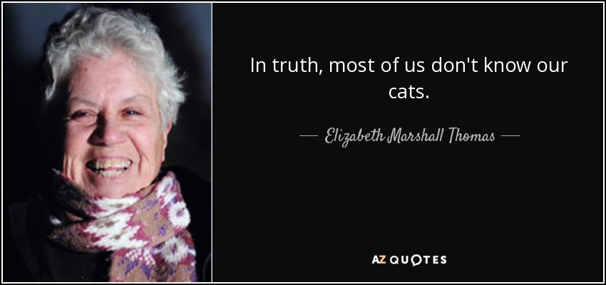 In truth, most of us don't know our cats. - Elizabeth Marshall Thomas