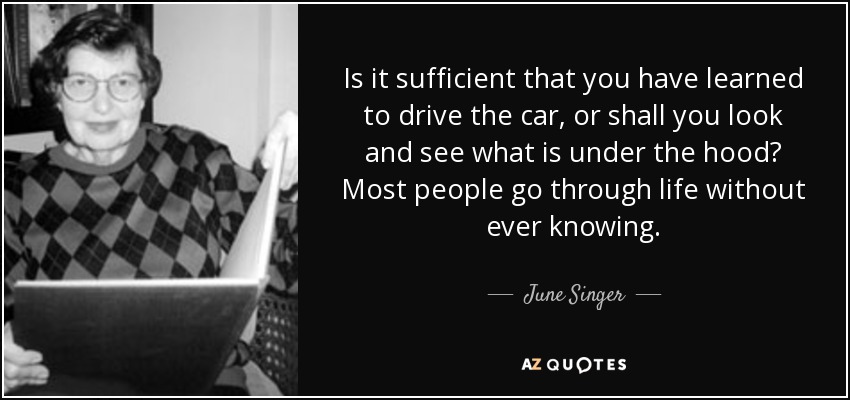 Is it sufficient that you have learned to drive the car, or shall you look and see what is under the hood? Most people go through life without ever knowing. - June Singer