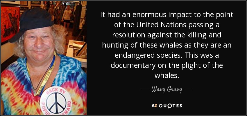 It had an enormous impact to the point of the United Nations passing a resolution against the killing and hunting of these whales as they are an endangered species. This was a documentary on the plight of the whales. - Wavy Gravy