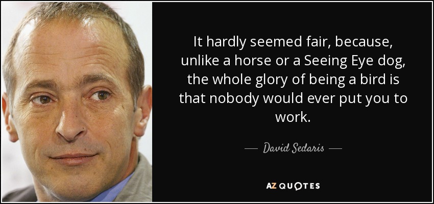 It hardly seemed fair, because, unlike a horse or a Seeing Eye dog, the whole glory of being a bird is that nobody would ever put you to work. - David Sedaris