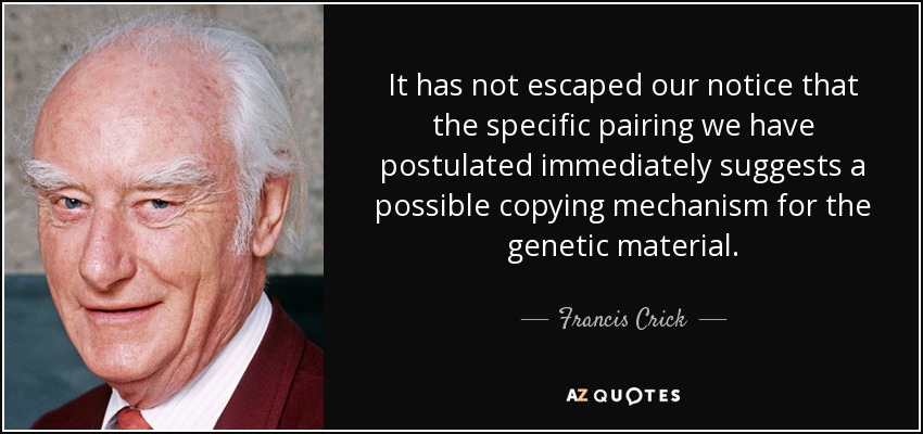 It has not escaped our notice that the specific pairing we have postulated immediately suggests a possible copying mechanism for the genetic material. - Francis Crick