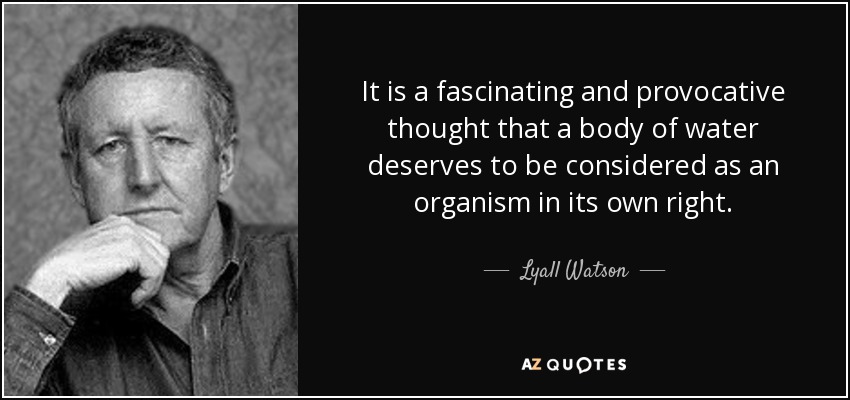It is a fascinating and provocative thought that a body of water deserves to be considered as an organism in its own right. - Lyall Watson