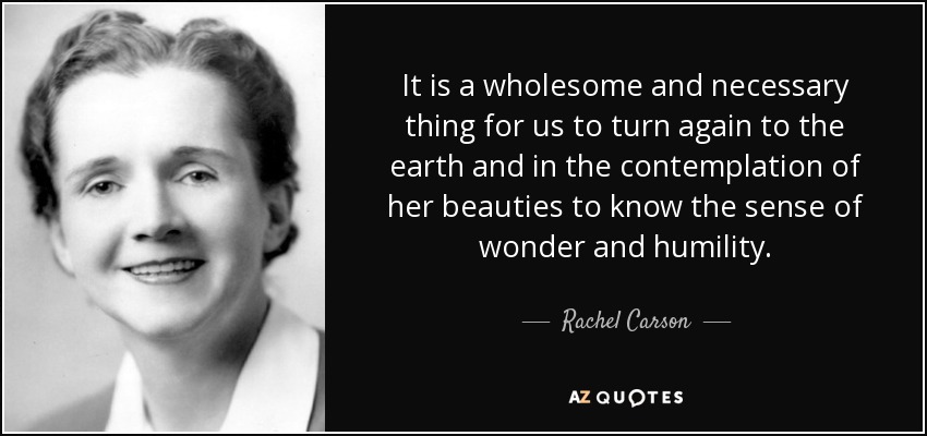 It is a wholesome and necessary thing for us to turn again to the earth and in the contemplation of her beauties to know the sense of wonder and humility. - Rachel Carson