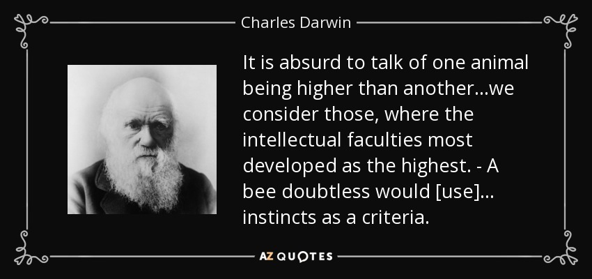 It is absurd to talk of one animal being higher than another...we consider those, where the intellectual faculties most developed as the highest. - A bee doubtless would [use] ... instincts as a criteria. - Charles Darwin