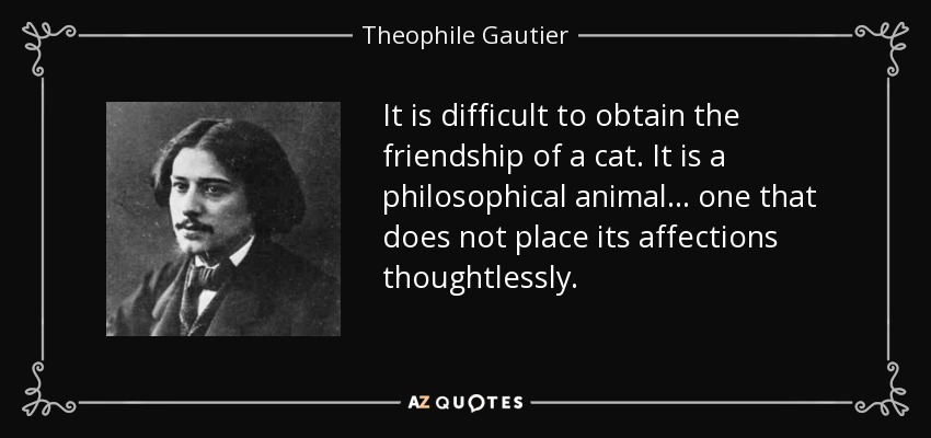 It is difficult to obtain the friendship of a cat. It is a philosophical animal... one that does not place its affections thoughtlessly. - Theophile Gautier