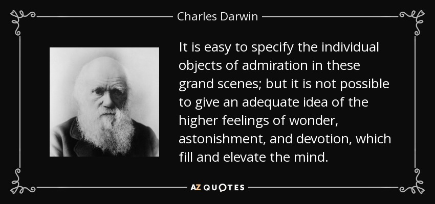 It is easy to specify the individual objects of admiration in these grand scenes; but it is not possible to give an adequate idea of the higher feelings of wonder, astonishment, and devotion, which fill and elevate the mind. - Charles Darwin