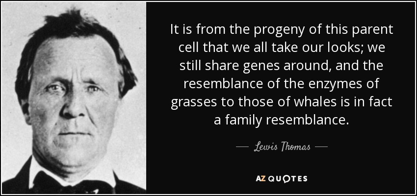 It is from the progeny of this parent cell that we all take our looks; we still share genes around, and the resemblance of the enzymes of grasses to those of whales is in fact a family resemblance. - Lewis Thomas